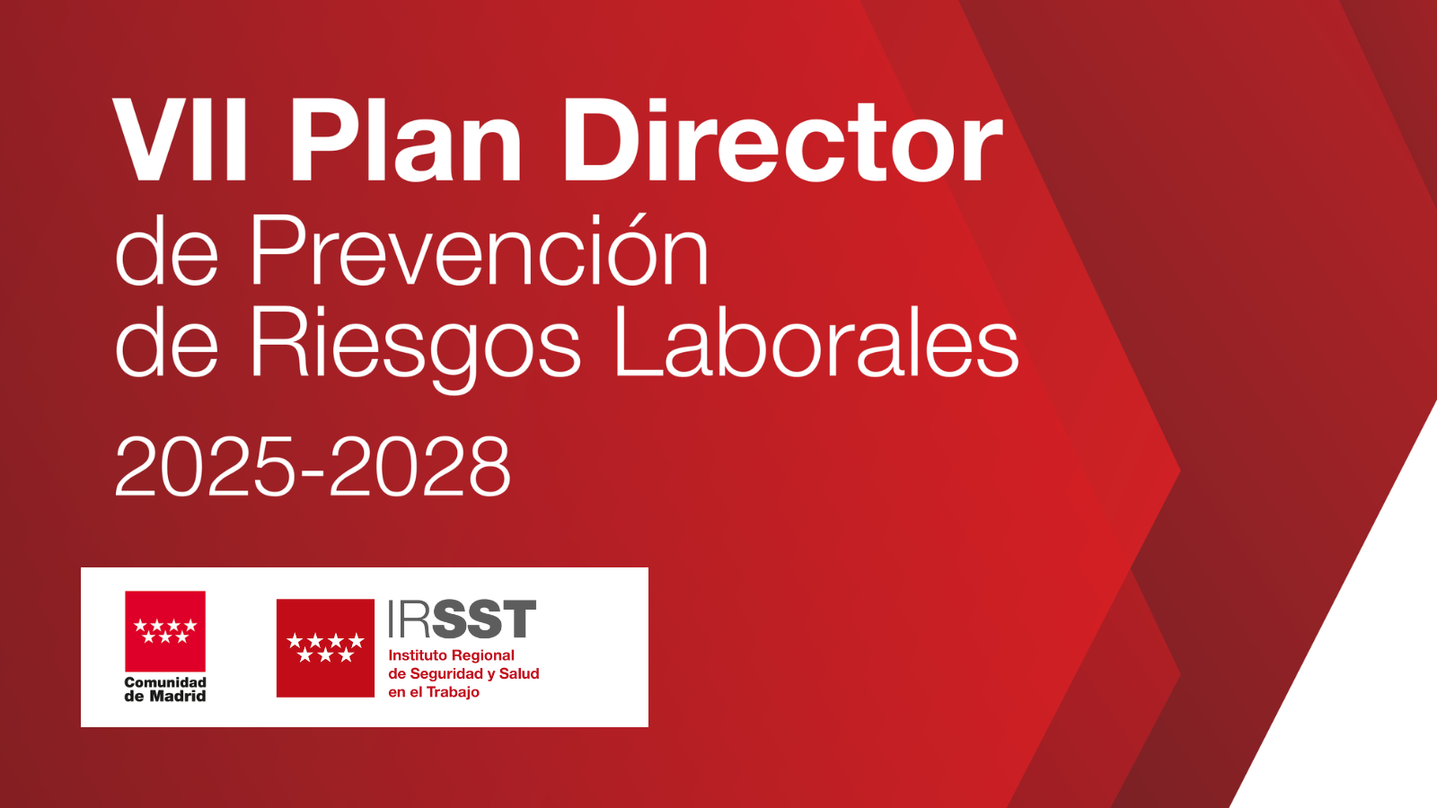 VII Plan Director